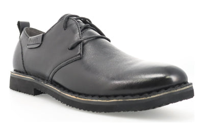 Finn in Black - side view