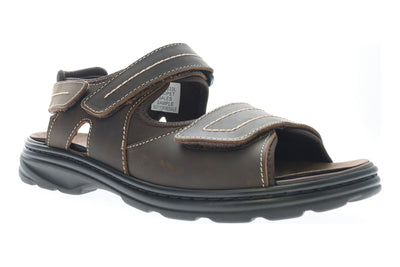 Hudson in Brown - side view