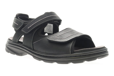 Hudson in Black - side view