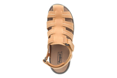 Hunter in Tan - top view
