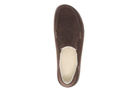 Edsel in Brown - top view