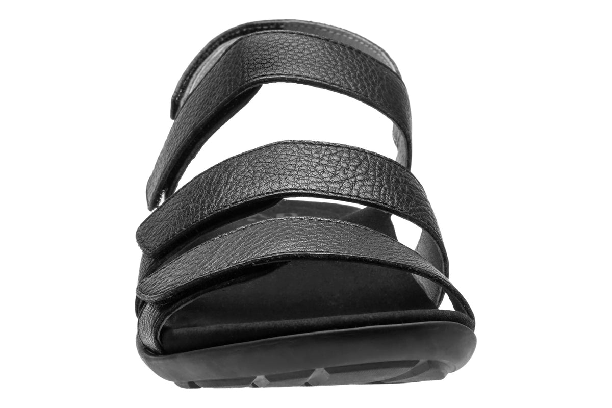 Briar - Image 4