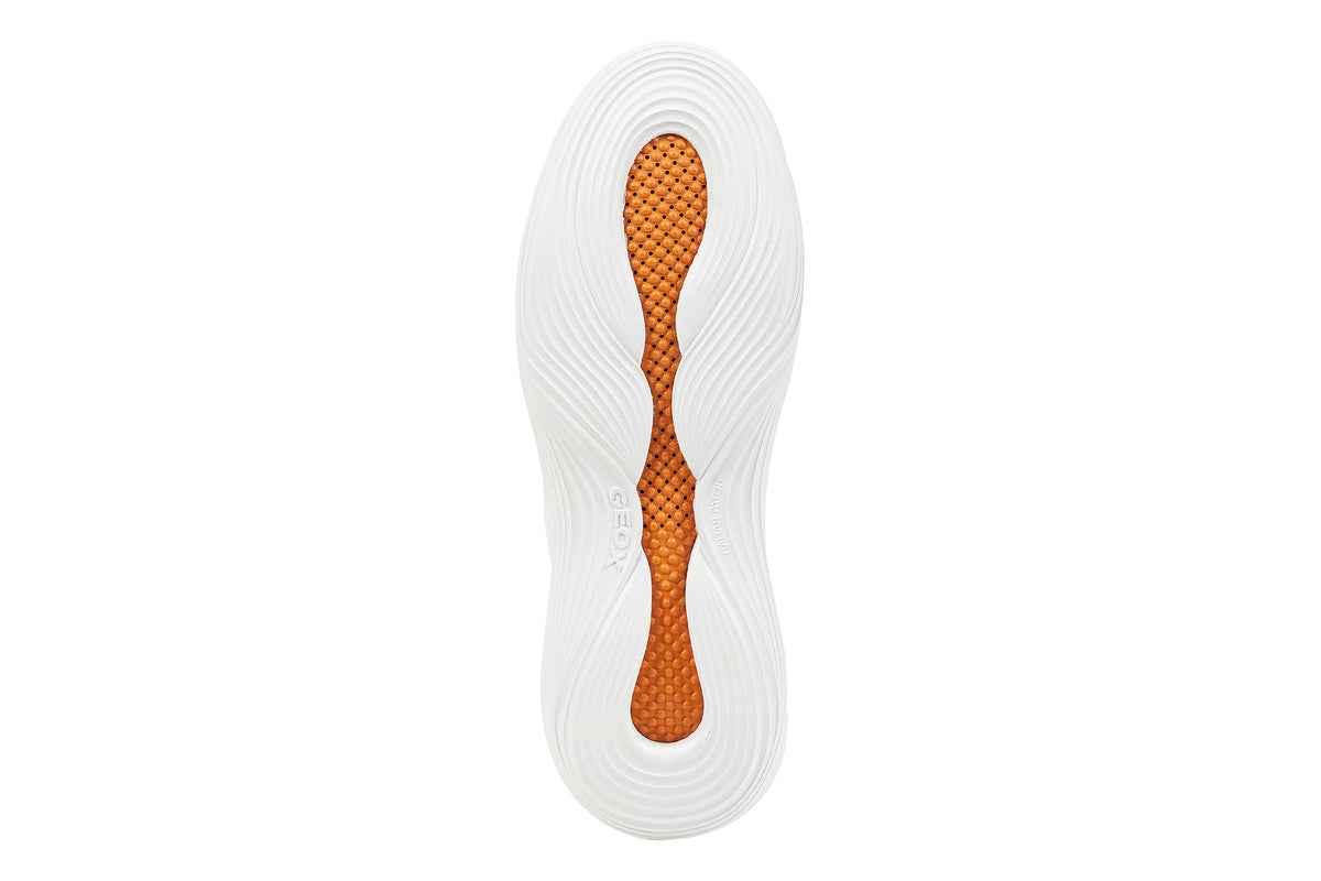 Fluctis - Image 3