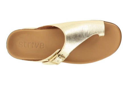Java II in Light Gold - top view