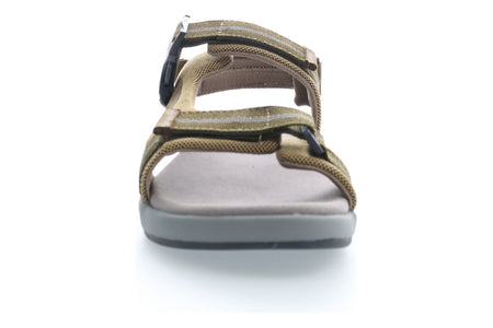 Eli in Olive - top view