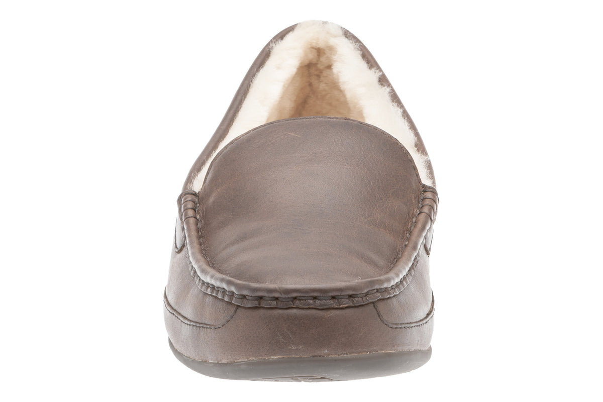 Arden - Image 5