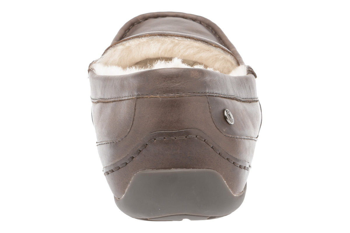 Arden - Image 6