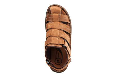 Joseph in Brown - top view